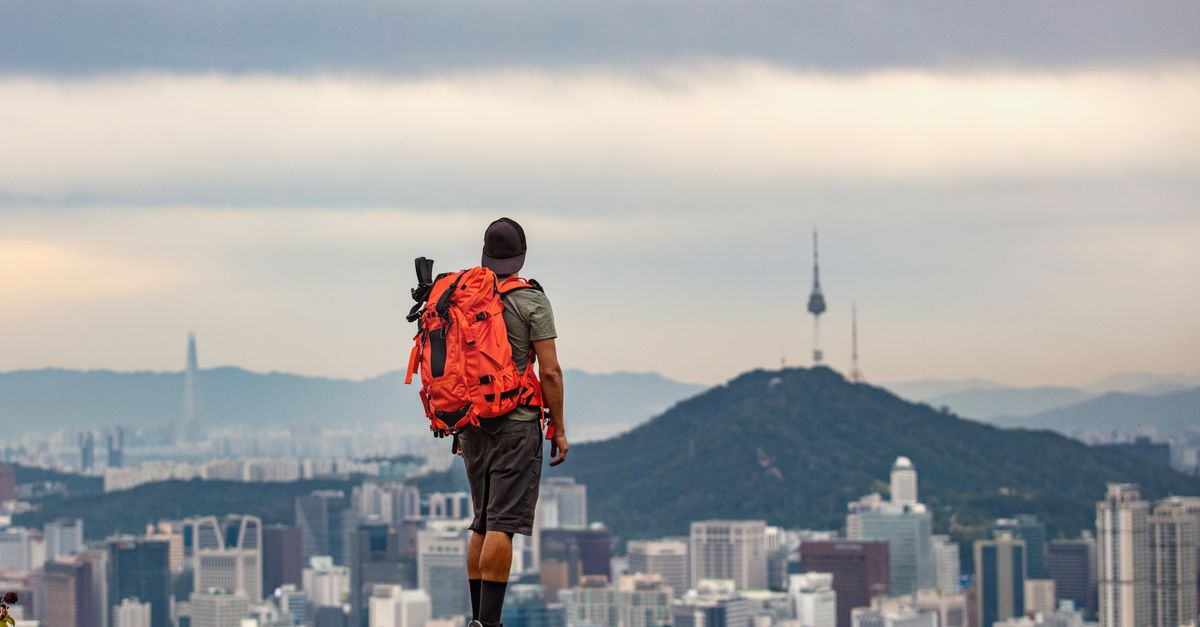 What to Do With Your 401(k) When You Move Back to Korea — 4 Options Compared