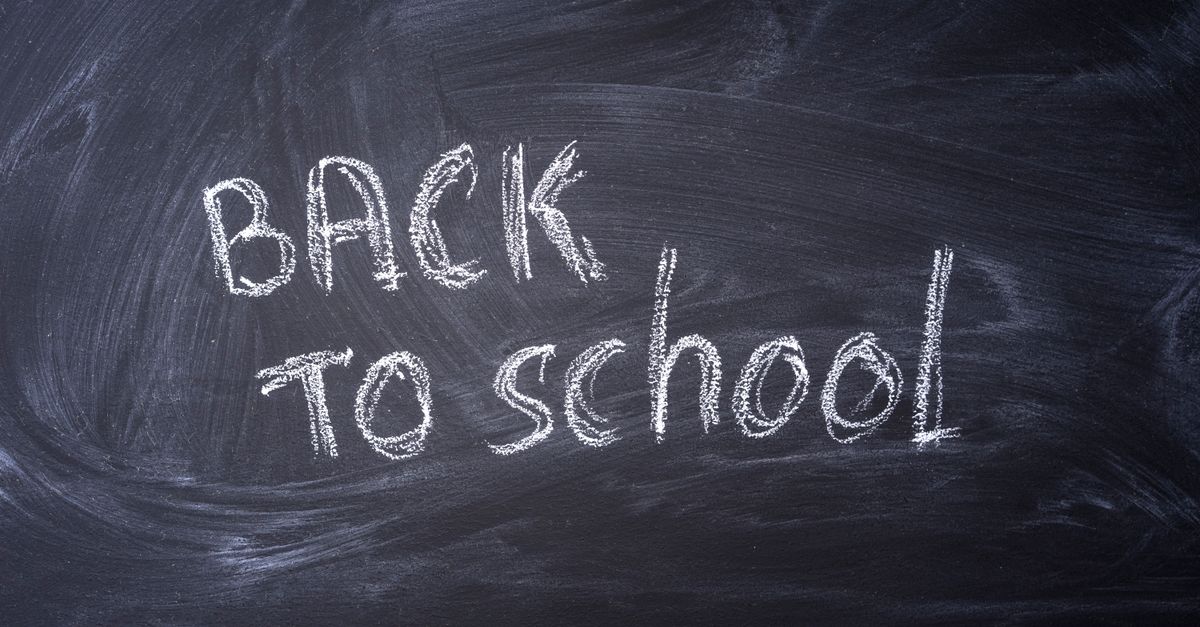 Blackboard with 'Back to School' written in chalk, ideal for educational themes.